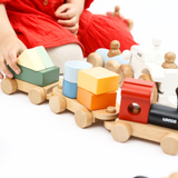 Horizon Educational Train | Wooden Shape Sorter Train Montessori Toy for Toddlers (Ages 3+)