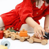 Horizon Educational Train | Wooden Shape Sorter Train Montessori Toy for Toddlers (Ages 3+)