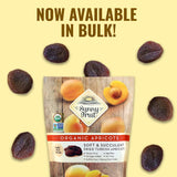 Sunny Fruit Soft Organic Turkish Dried Apricots - 1 Bag (5 Individual Portion Packs) | Healthy, Convenient Snack Packs | ORGANIC, NON-GMO, VEGAN, HALAL, KOSHER, NO PRESERVATIVES, NO SUGAR ADDED