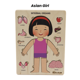 Montessori Wooden Human Body Puzzle – Six Character Anatomy Toy for Kids, Includes Organs & Stand, STEM Educational (Ages 3+)