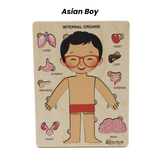Montessori Wooden Human Body Puzzle – Six Character Anatomy Toy for Kids, Includes Organs & Stand, STEM Educational (Ages 3+)