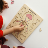 Montessori Wooden Human Body Puzzle – Six Character Anatomy Toy for Kids, Includes Organs & Stand, STEM Educational (Ages 3+)