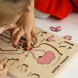 Montessori Wooden Human Body Puzzle – Six Character Anatomy Toy for Kids, Includes Organs & Stand, STEM Educational (Ages 3+)