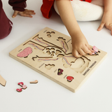 Montessori Wooden Human Body Puzzle – Six Character Anatomy Toy for Kids, Includes Organs & Stand, STEM Educational (Ages 3+)